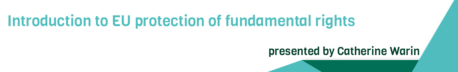 Protecting rights - fundamental rights and data protection law; cover